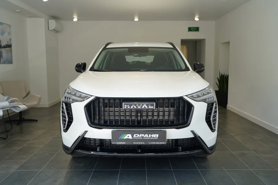HAVAL JOLION / Джолион, Благородный агат