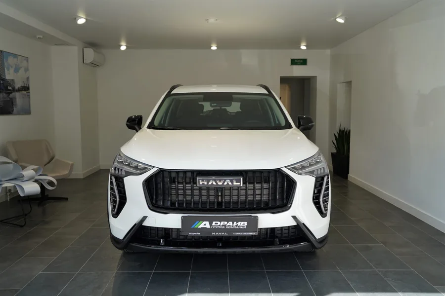 HAVAL JOLION / Джолион, Благородный агат